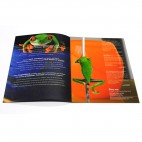 PLAY ME BROCHURE